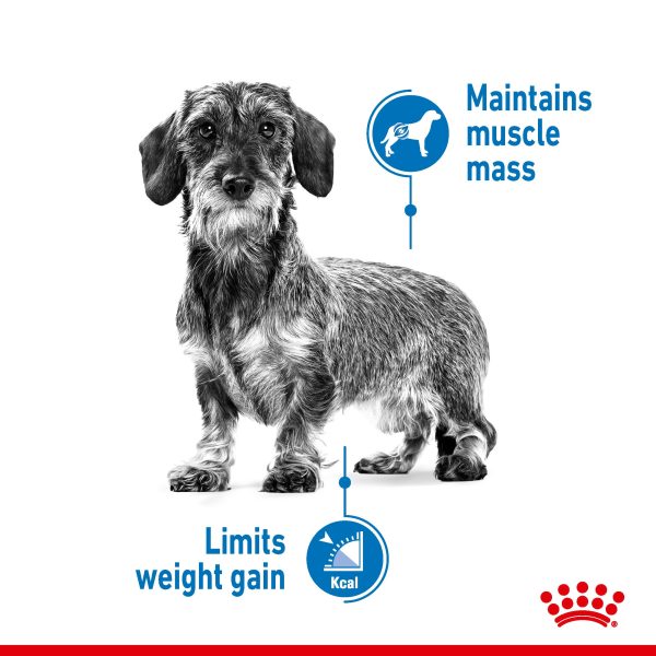 Royal Canin XSmall Light Weight Care 1.5kg Fashion