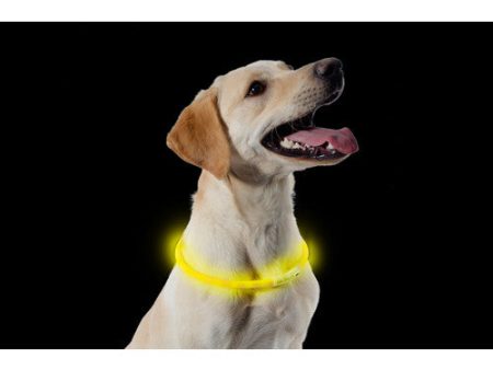 Ancol High Visibility Halo Safety Band Yellow Flashing Dog Collar One Size Online Sale