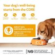 Wellness Core Wet Dog Food Can 95% Chicken and Duck with Carrots 6 x 400g Online