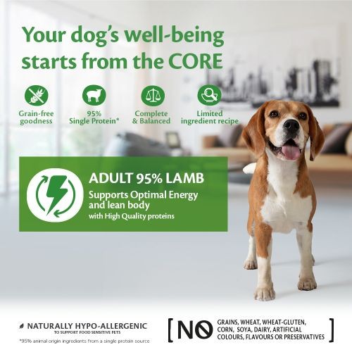 Wellness Core 95% Lamb with Pumpkin Wet Adult Grain Free Dog Food 6 x 400g Online Hot Sale